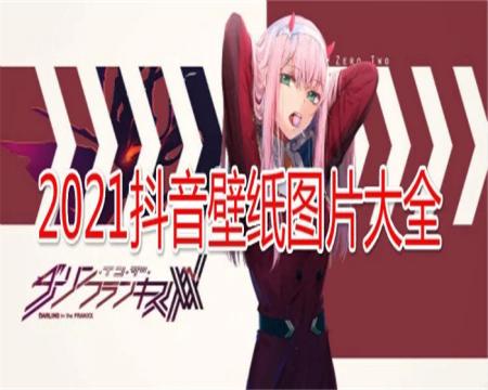 2025抖音最火的热门壁纸软件推荐